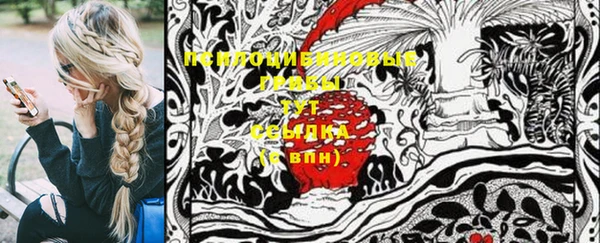 бошки Алексеевка