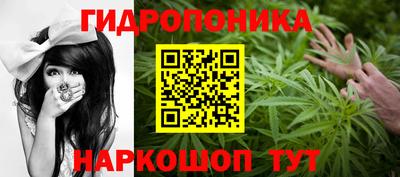молекула духа Ликино-Дулёво
