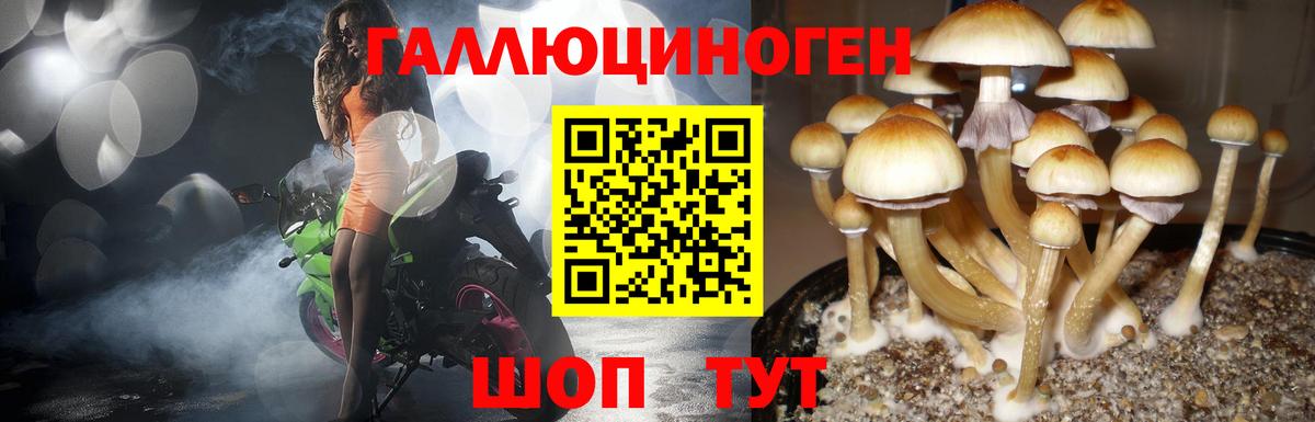 Галлюциногенные грибы мицелий  Вход с VPN  Ярцево  как найти   Галлюциногенные грибы Psilocybine cubensis 